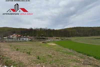Teren de 833 mp, în Meteș - 1