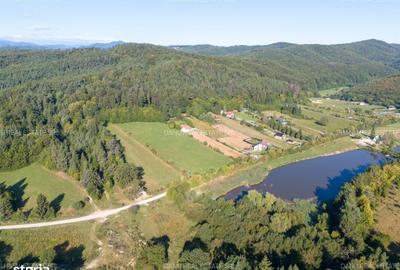 Spațiu comercial, în Vulcan - 6