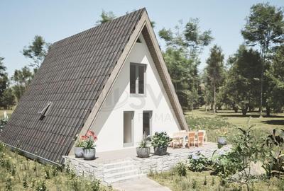 Casa A frame deosebita de in Snagov - 3