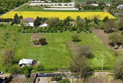 Teren Construcții intravilan de 7305 mp, în Fundulea - 4