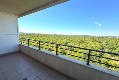Apartament 2 camere complex Iancu Nicolae - 14