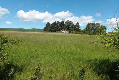 Teren de 2200 mp, în Valea Crișului - 2