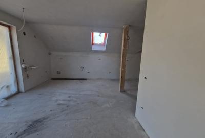 Ramnicu Valcea, Stirbei Voda, Raul Olanesti - 3