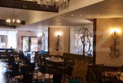 Restaurant de vanzare, 688 mp, zona Parcului Chindia - 8