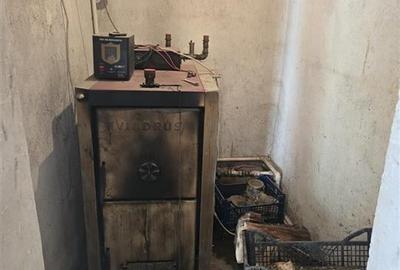 RECO Casa De Vanzare in Homorog - 10