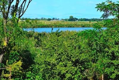 Casa de weekend lângă lac la o ora de Bucuresti - 4