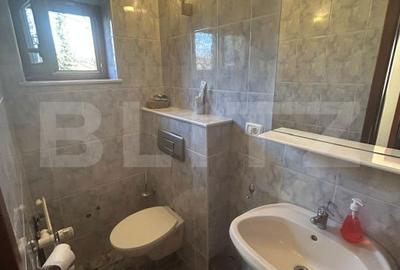 Casă cu 6 camere cu Teren 3982 Mp în Remetea Mare - 11