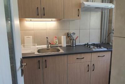 Garsonieră semidecomandată în Costin Georgian - 3