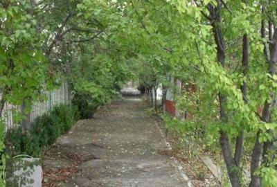 Teren de 2350 mp, în Izvorani - 4