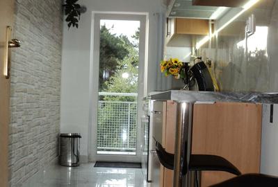 Garsonieră decomandată în Dosu Bricii - 3