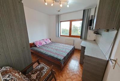 Inchiriem Apartament 2 Camere, Mobilat, Decomandat, Bartolomeu - 7