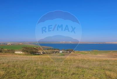 Teren agricol extravilan de 5000 mp, în Nord - 4