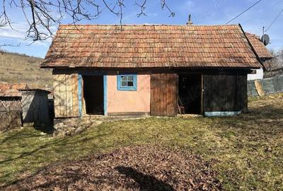 Casă cu Teren 1400 Mp în Mănăștur - 4