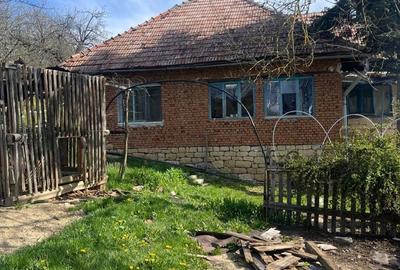 Casă cu 4 camere în Șoimeni - 8