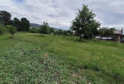 Teren intravilan 7759 mp in Curtea de Arges zona Noaptes - 2