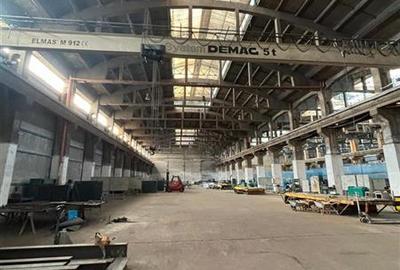 Spațiu industrial, de 17,500 mp, în Zona Liberă - 18