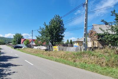 Casa+teren 1.626 mp loc Zapodia- Traian-40 m deschidere la strada - 1