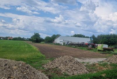 Teren de 5000 mp, în Biharia - 3