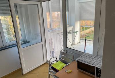 Apartament cu 2 camere decomandat în Costinești - 4