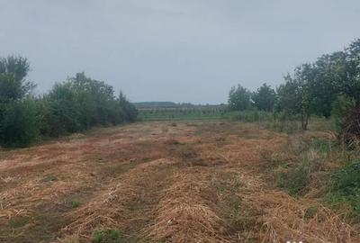 Teren de 1846 mp, în Mălăiești - 1