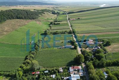 Teren Construcții intravilan de 3500 mp, în Bogdănești (Traian) - 7