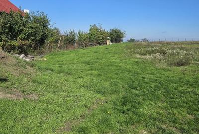 Teren intravilan Dorohoi - 2