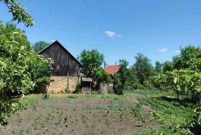 Casă cu 4 camere cu Teren 2418 Mp în Dumbrava - 3