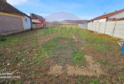 Teren Construcții intravilan de 1186 mp, în Ineu - 9