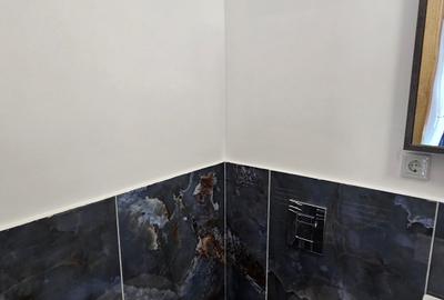 Duplex cu 5 camere cu Teren 300 Mp în Nord - 14