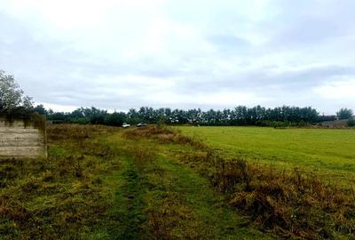 Vanzare 10.000 mp teren Liteni Suceava- la strada -potrivit proiect fonduri - 8