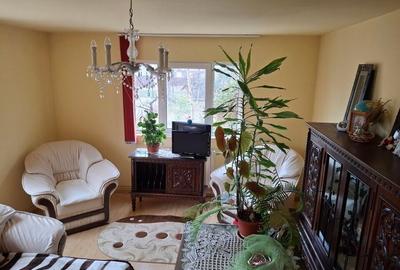 Vila P+1  Ploiesti - Paulestii Noi - 7