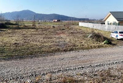 Teren de 500 mp, în Hărman - 1