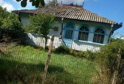 Casă cu Teren 5000 Mp în Sulița - 1