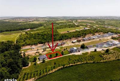 Teren de 600 mp, în Paleu - 14