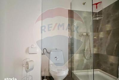 Apartament cu 2 camere în Sânmartin - 12