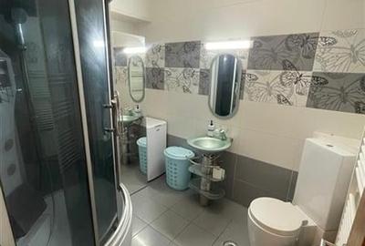 Apartament 2 camere Oltenitei Delta Vacaresti - 8