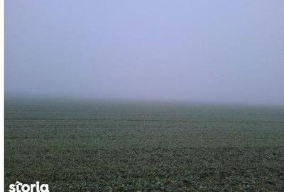 Teren de 4040 mp, în Troianul - 3