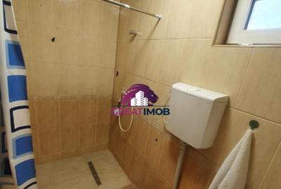 Vila Premium fara demisol (P 3) Bd. Dacia, Piata Romana- - 13