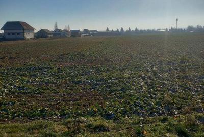 Teren de 1600 mp, în Central - 9