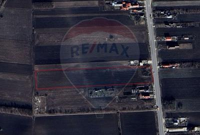 Teren Construcții intravilan de 19100 mp, în Secuienii Noi - 2