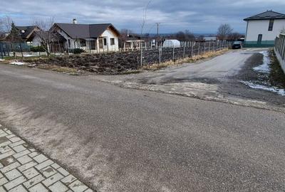 Spațiu comercial, în Lisaura - 4