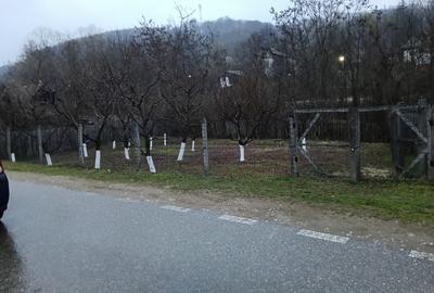 Casă cu 3 camere cu Teren 2800 Mp în Central - 17