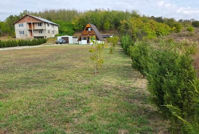 Casă la curte - 3