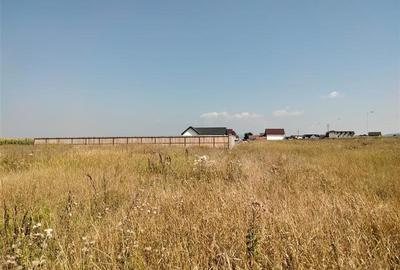 Teren agricol intravilan de 504 mp, în Bod - 6