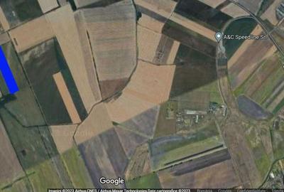 Teren de 50000 mp, în Gai - 1