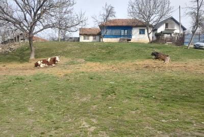 Teren de 2493 mp, în Central - 2