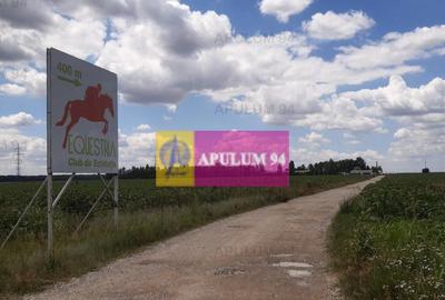 Teren 715mp in Snagov langa Equestria - 15