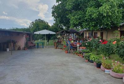 Casă cu 4 camere în Oltina - 10