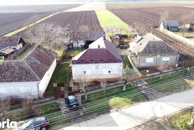 Casă cu 4 camere cu Teren 3122 Mp în Petrești - 17