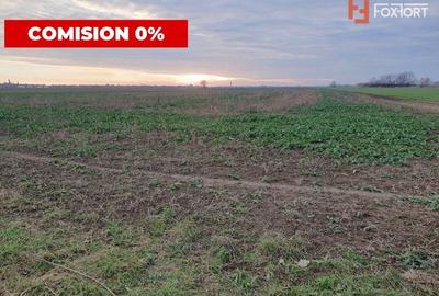 Comision 0% Teren extravilan agricol 21,32 ha sau intravilan cu PUZ aprobat - 21